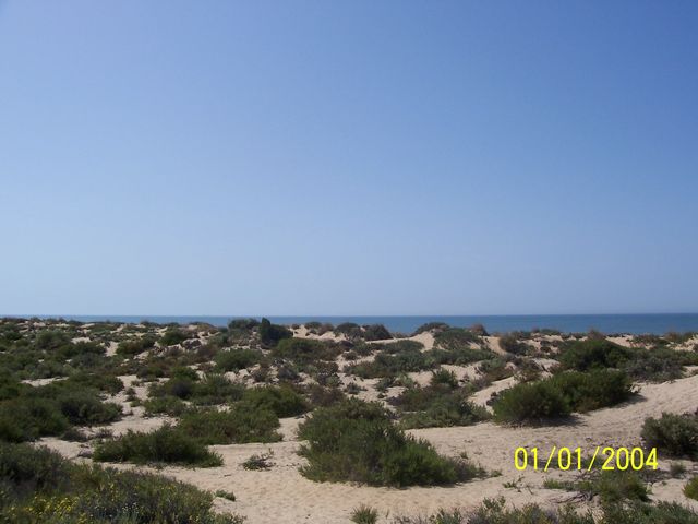 Foto de Huelva (Andalucía), España