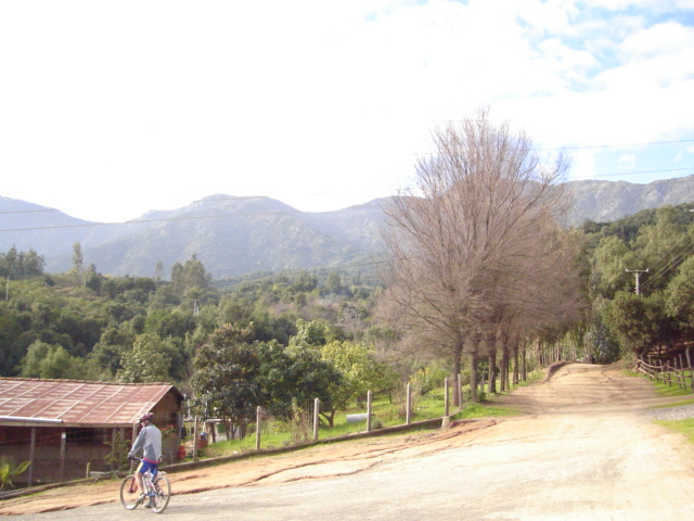 Foto de OLMUE, Chile