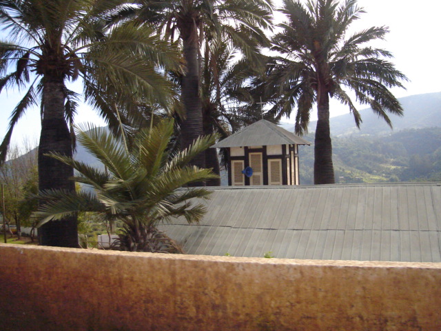 Foto de OLMUE, Chile