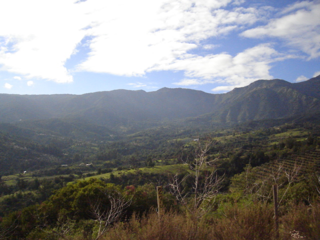 Foto de OLMUE, Chile