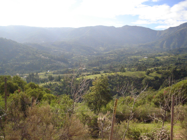 Foto de OLMUE, Chile