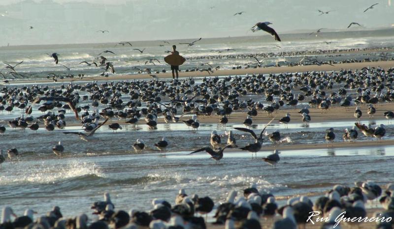 Foto de Costa de Caparica, Portugal