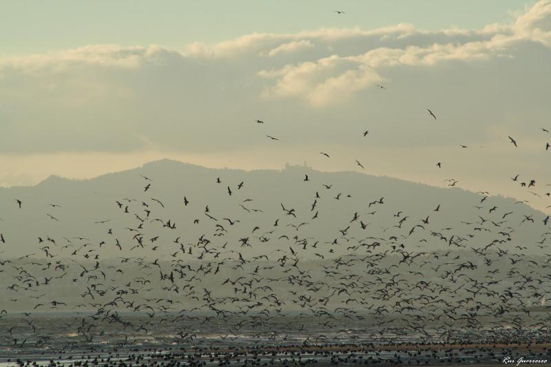 Foto de Costa de Caparica, Portugal