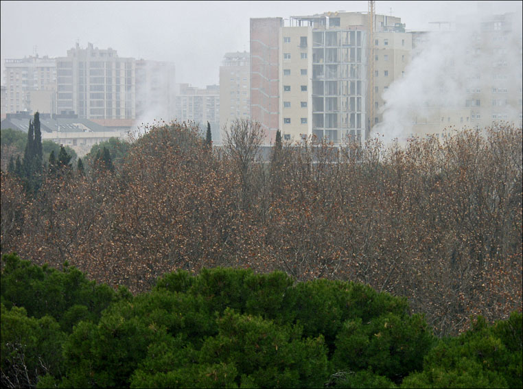 Foto de Zaragoza (Aragón), España