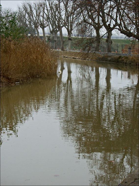 Foto de Zaragoza (Aragón), España