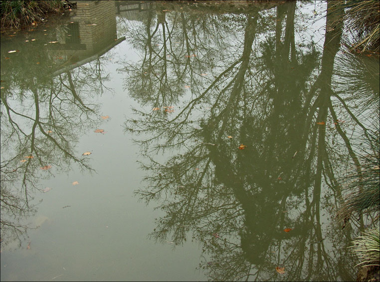 Foto de Zaragoza (Aragón), España