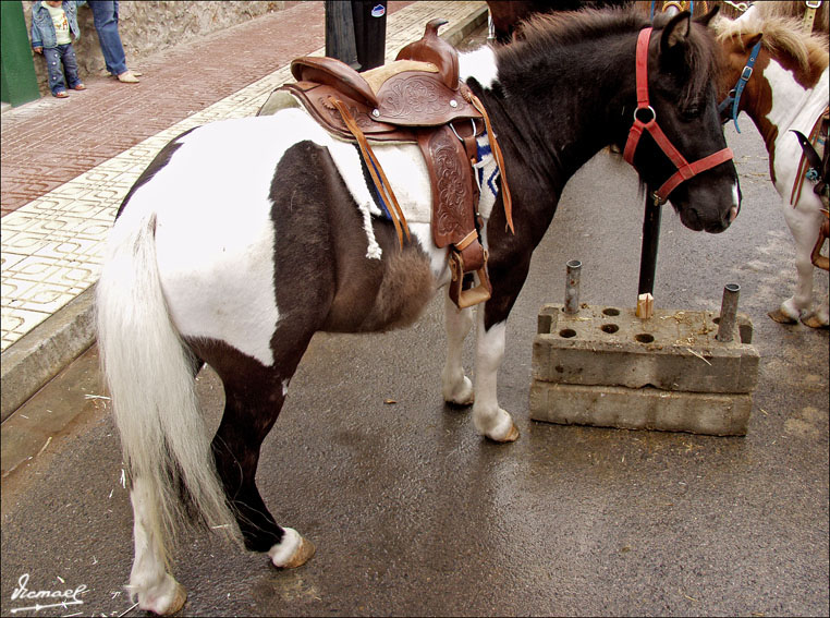 Foto de Oropesa del Mar (Castelló), España