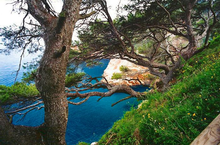 Foto de Aiguablava (Girona), España