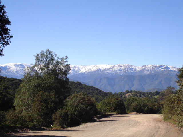 Foto de QUILPUE, Chile