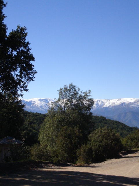 Foto de QUILPUE, Chile