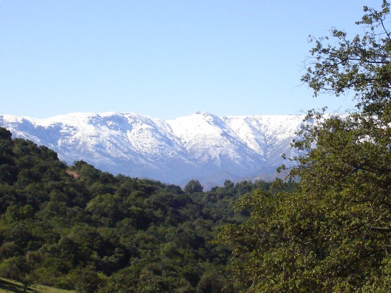 Foto de QUILPUE, Chile