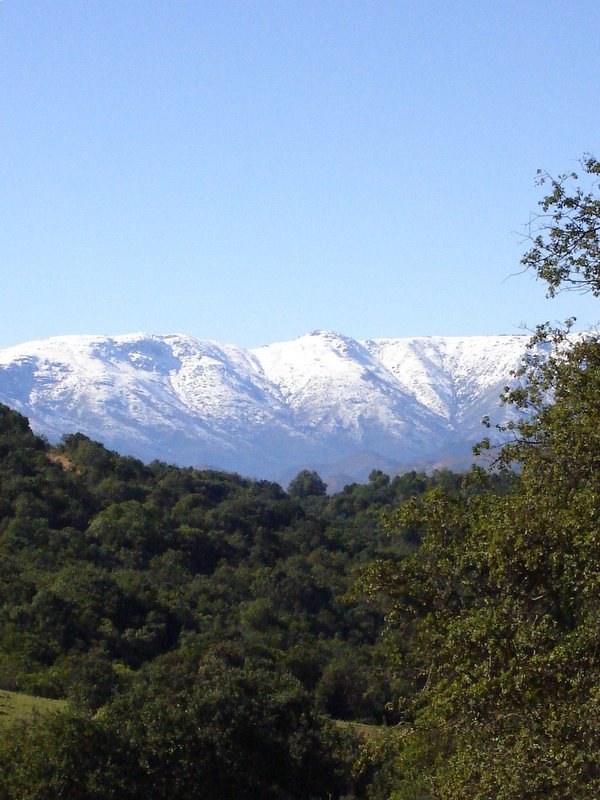 Foto de QUILPUE, Chile