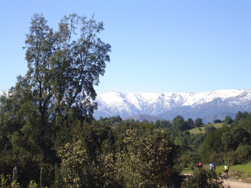 Foto de QUILPUE, Chile