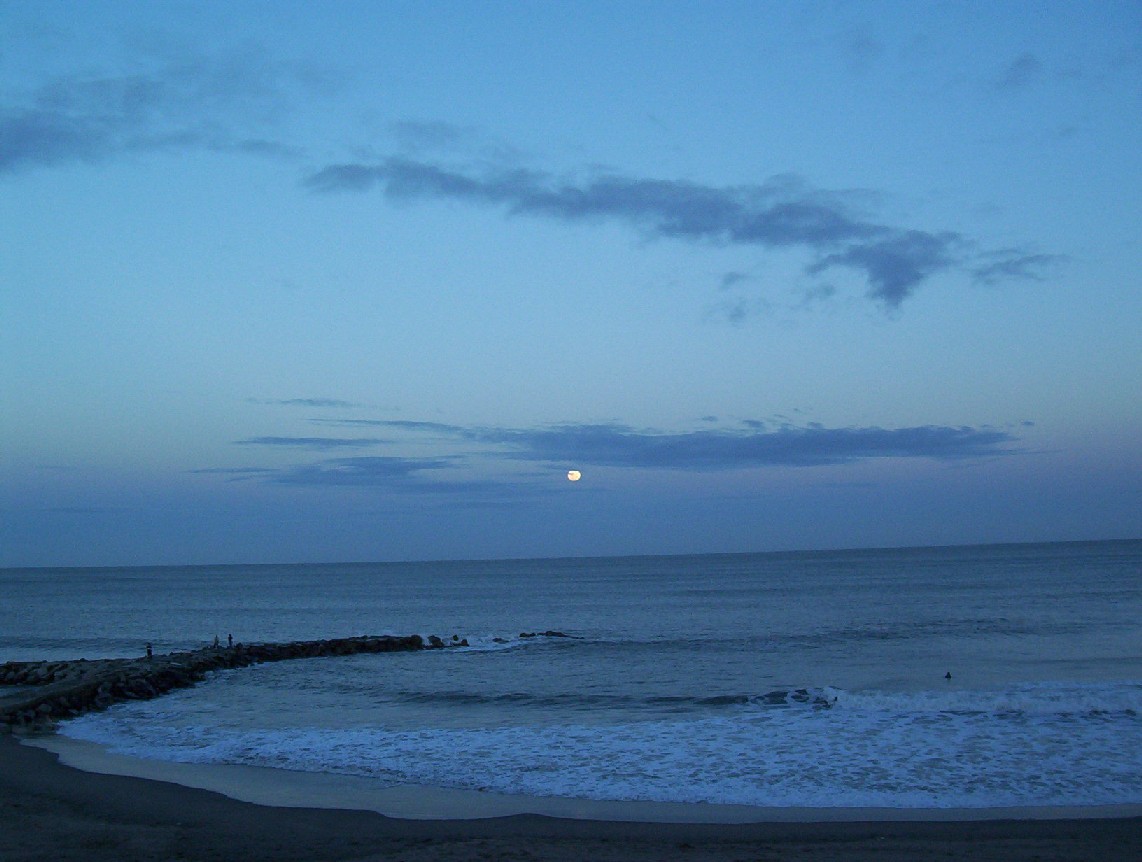 Foto de Mar del Plata, Argentina