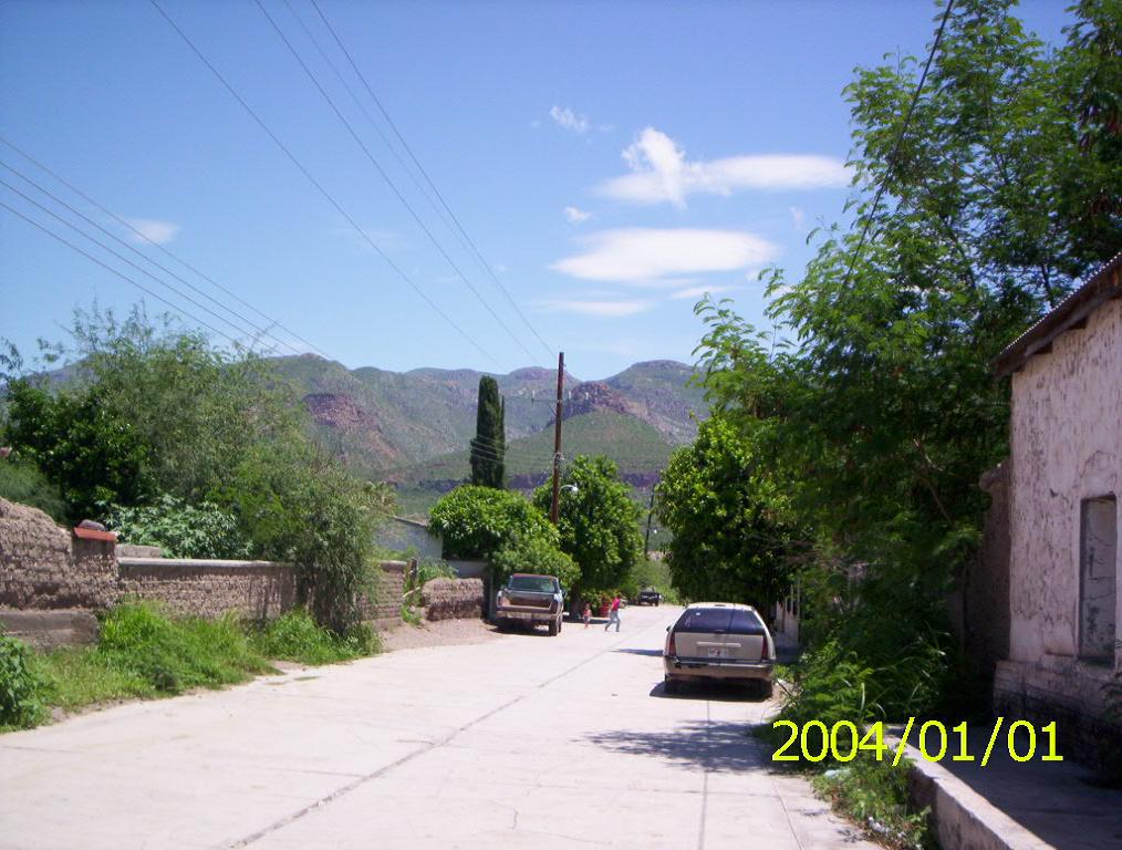 Foto de Granados sonora., México