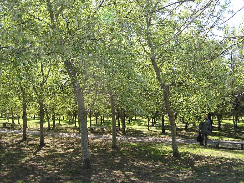 Foto de Buenos Aires, Argentina