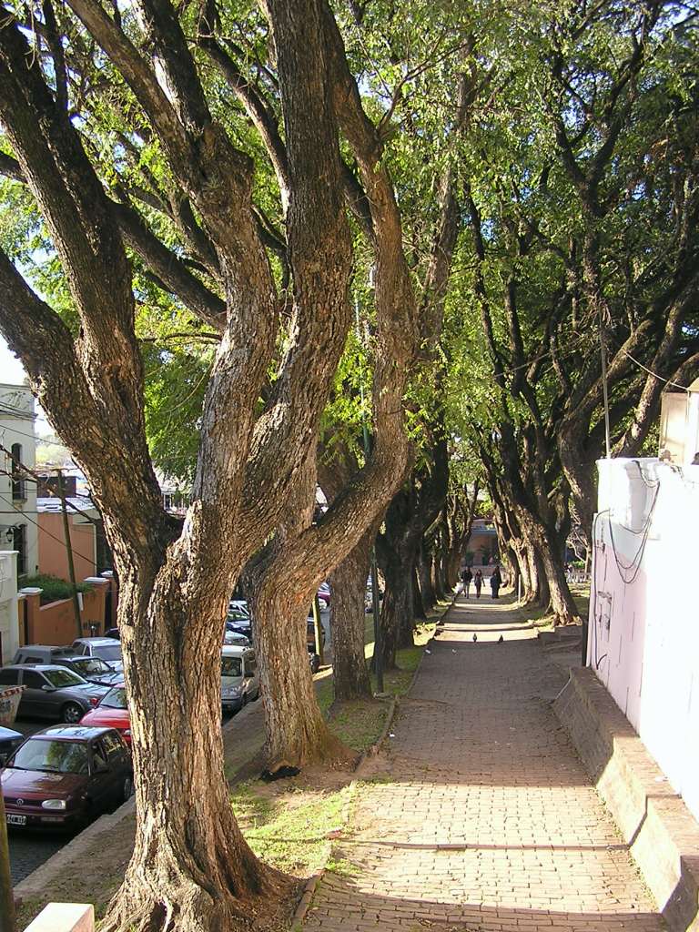 Foto de San Isidro, Argentina