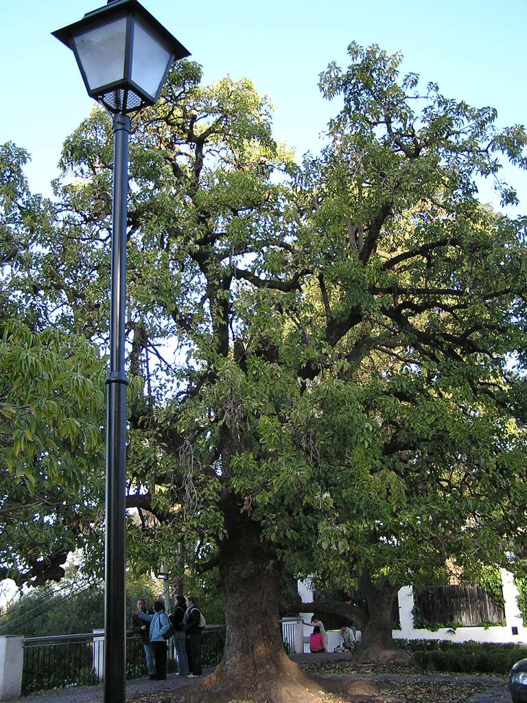 Foto de San Isidro, Argentina