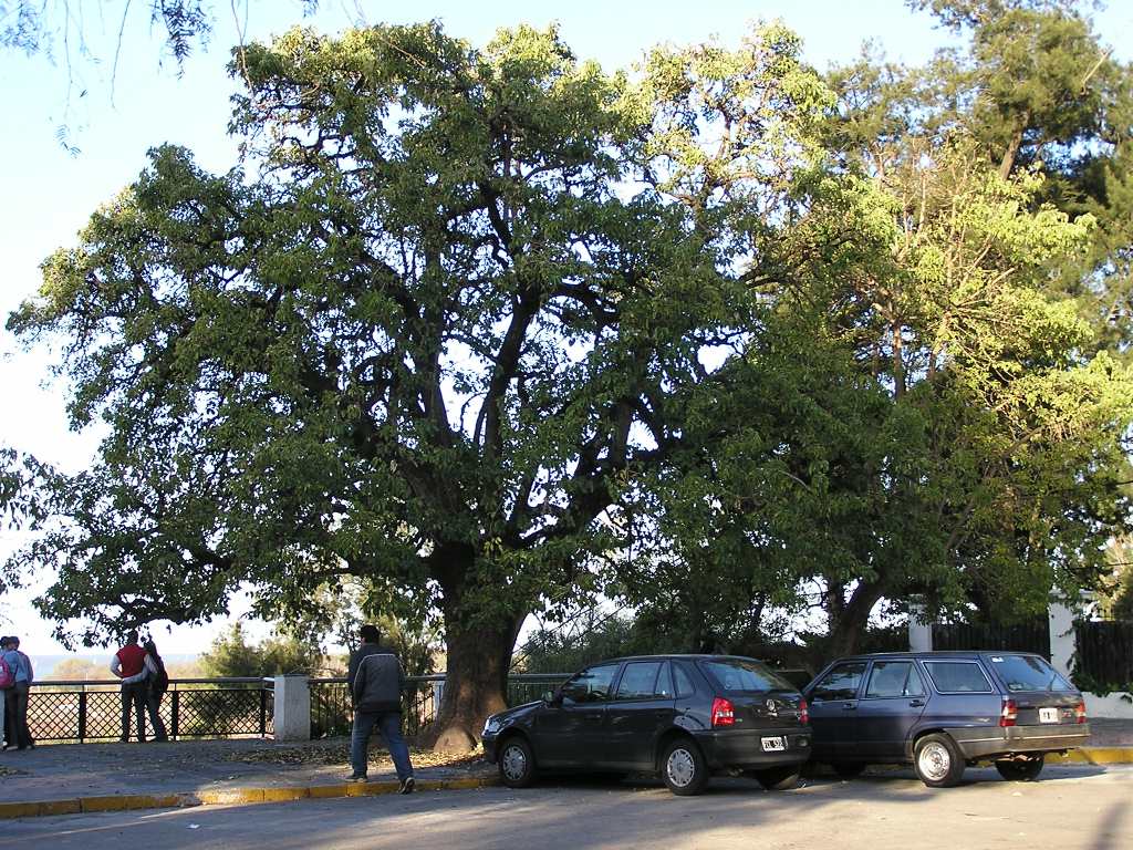 Foto de San Isidro, Argentina