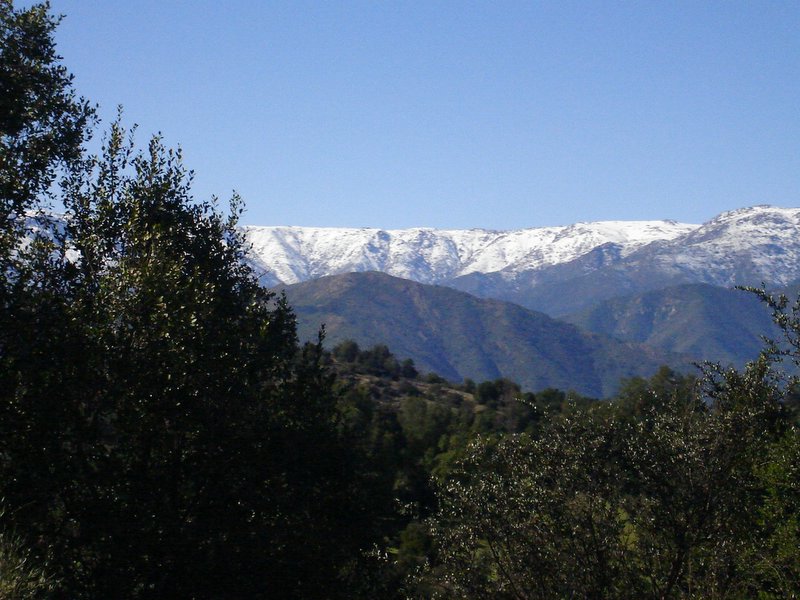 Foto de QUILPUE, Chile