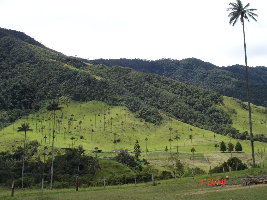 Foto de Eje Cafetero, Colombia