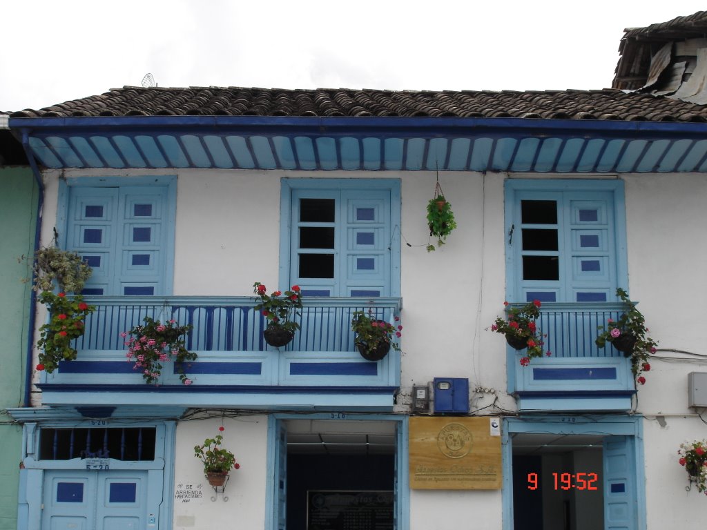 Foto de Eje Cafetero, Colombia