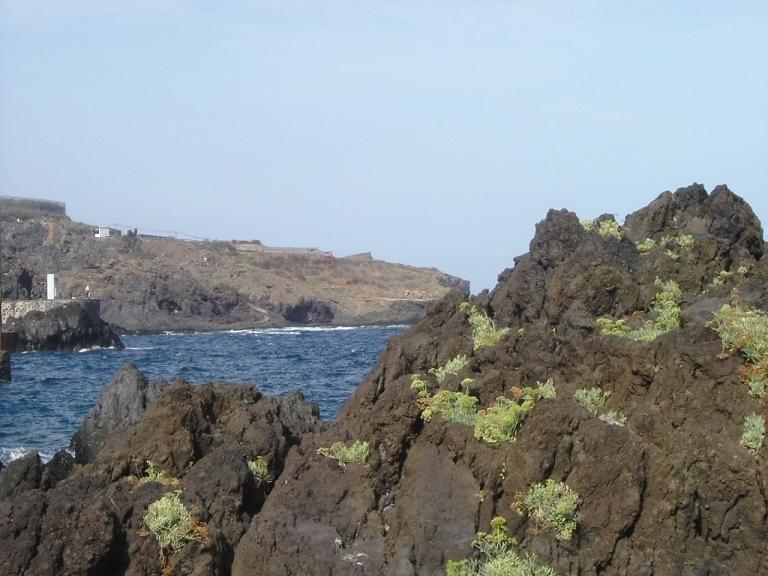 Foto de Tenerife (Santa Cruz de Tenerife), España