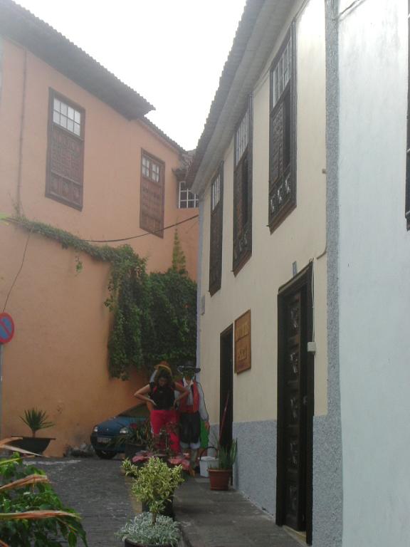 Foto de Tenerife (Santa Cruz de Tenerife), España