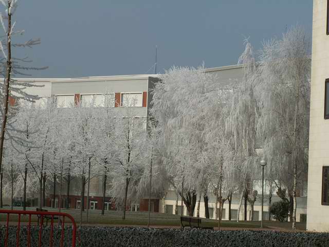 Foto de La Rioja, España