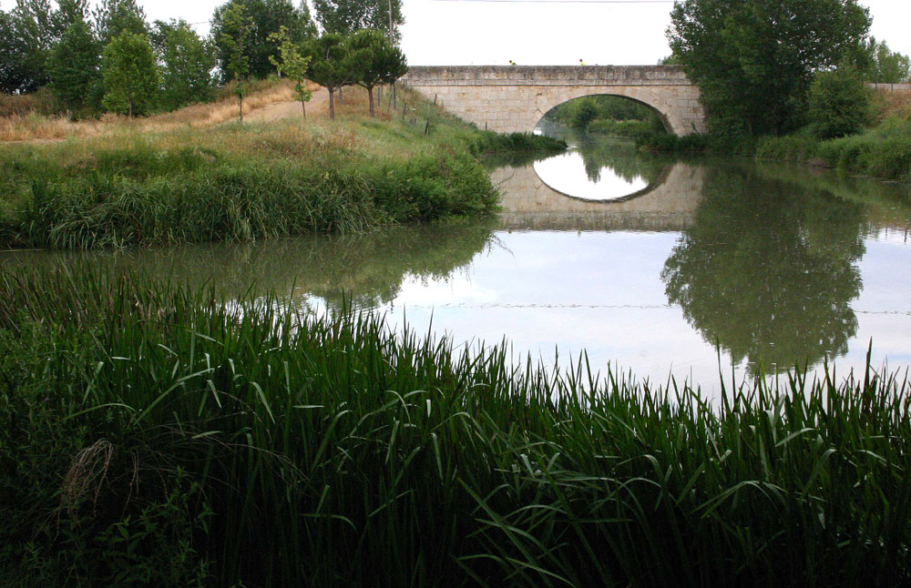 Foto de Palencia (Castilla y León), España