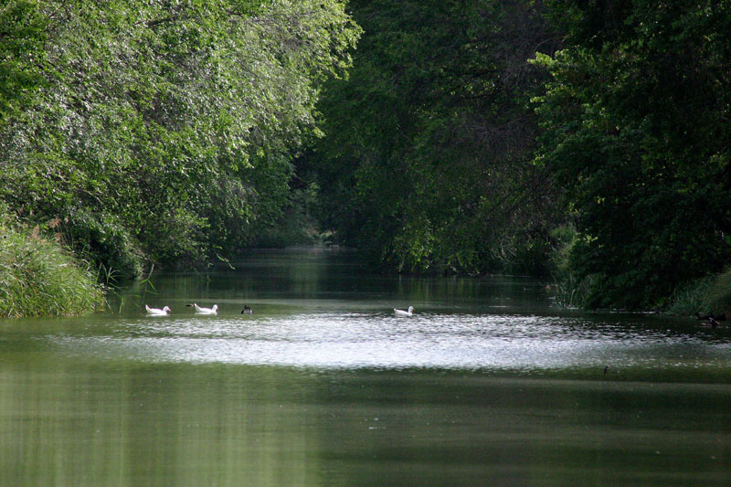 Foto de Palencia (Castilla y León), España