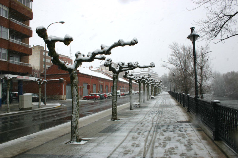 Foto de Palencia (Castilla y León), España