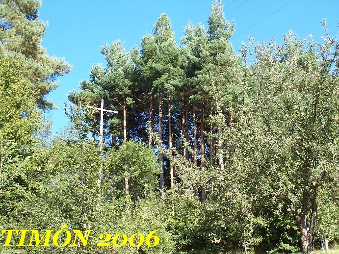 Foto de Valmala (Burgos), España