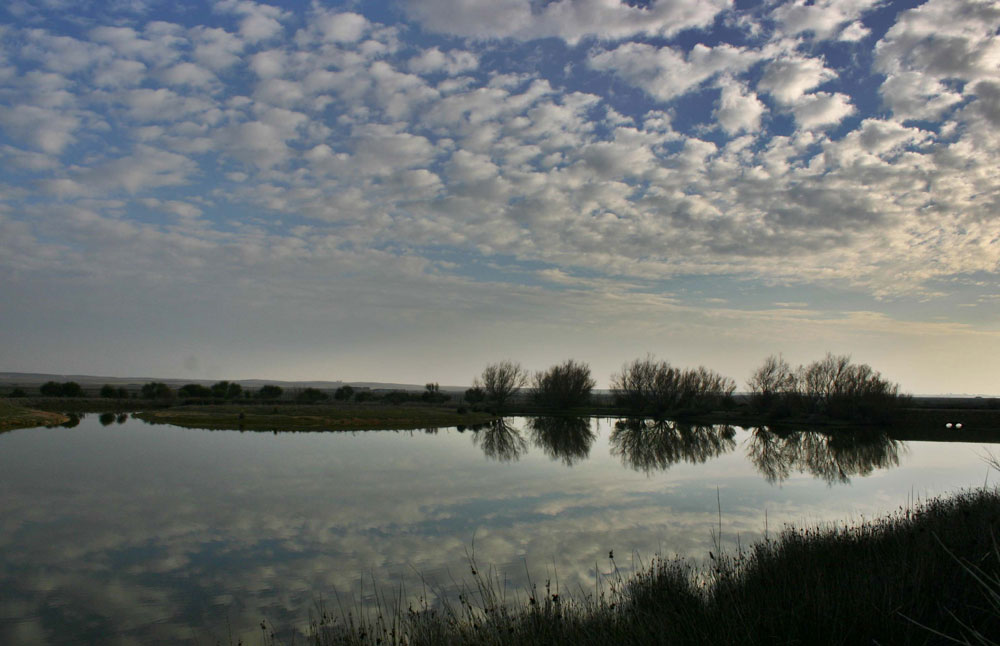 Foto de Villafáfila (Zamora), España