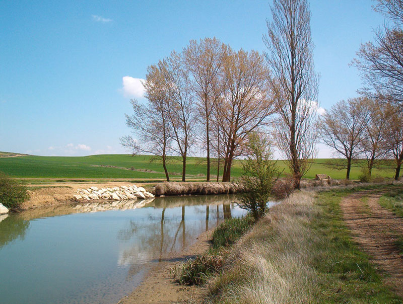 Foto de Palencia (Castilla y León), España