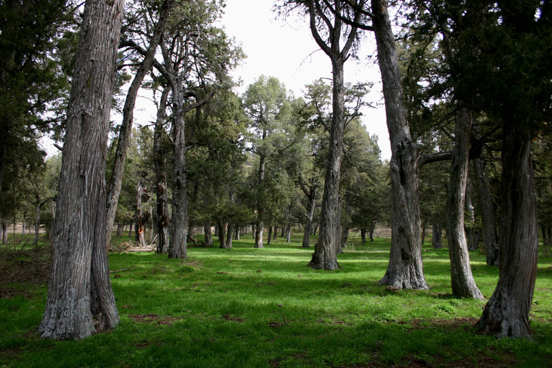 Foto de Soria (Castilla y León), España