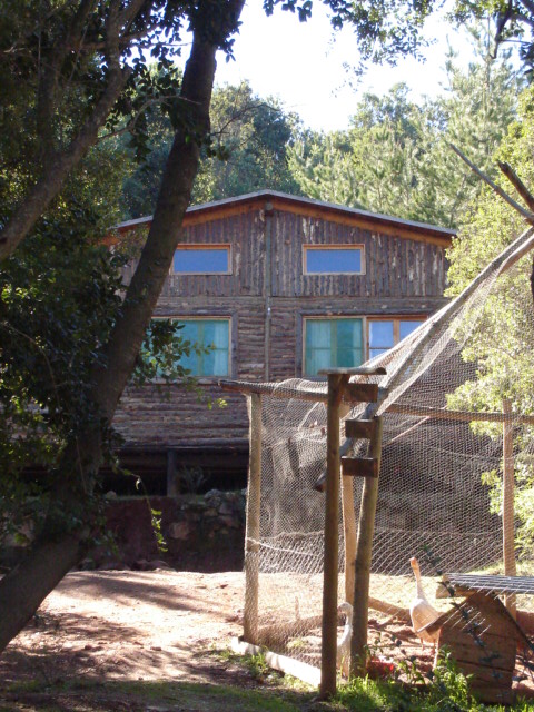 Foto de QUILPUE, Chile