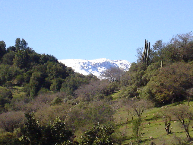Foto de QUILPUE, Chile