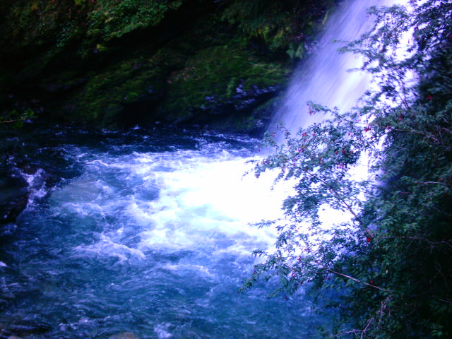 Foto de EL HOYO, Argentina