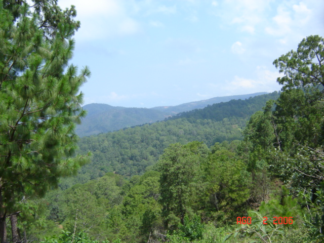 Foto de Gómez Farias, México