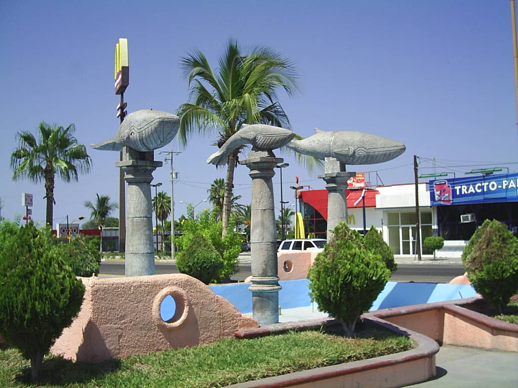 Foto de Baja California Sur, México