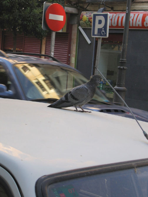 Foto de Madrid (Comunidad de Madrid), España