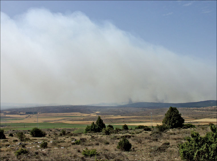 Foto de Alto Tajo (Guadalajara), España