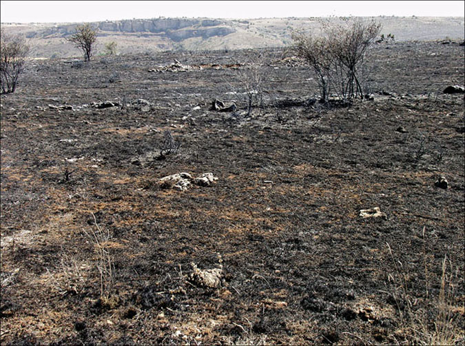 Foto de Alto Tajo (Guadalajara), España