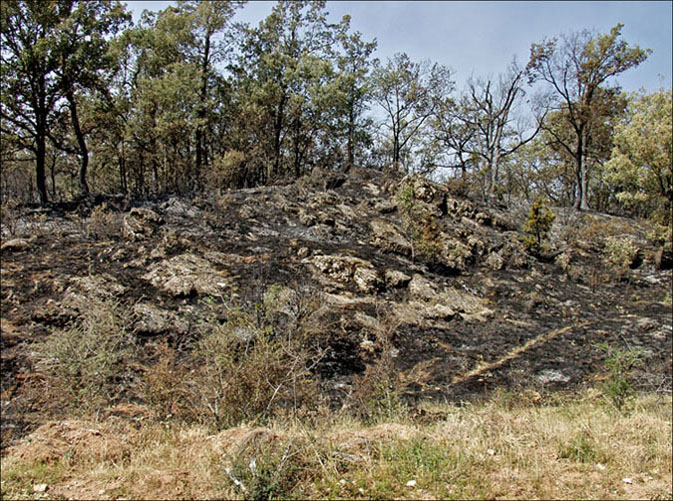Foto de Alto Tajo (Guadalajara), España