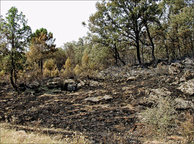 Foto de Alto Tajo (Guadalajara), España