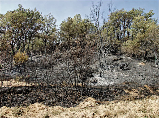 Foto de Alto Tajo (Guadalajara), España