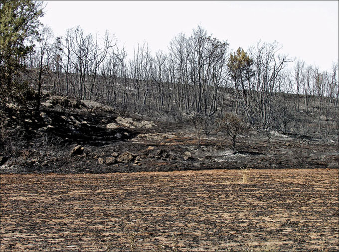 Foto de Alto Tajo (Guadalajara), España