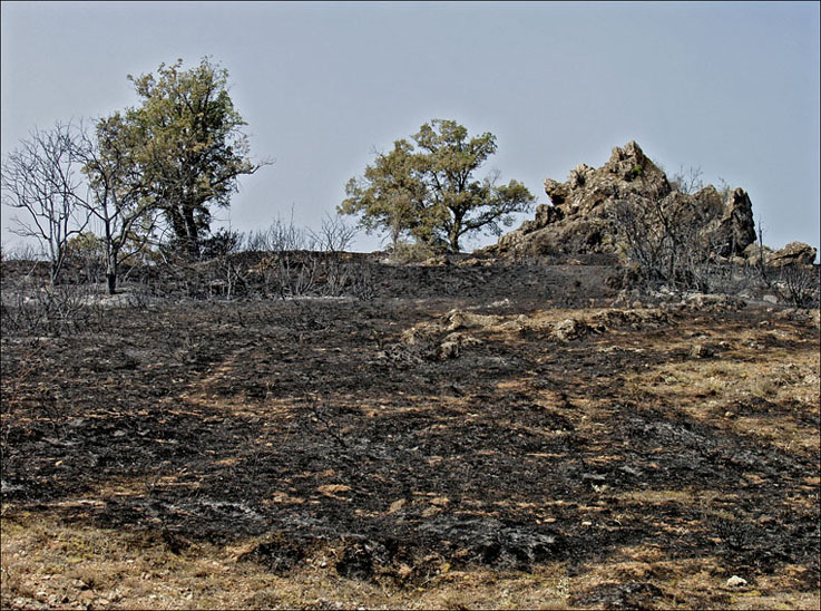 Foto de Alto Tajo (Guadalajara), España
