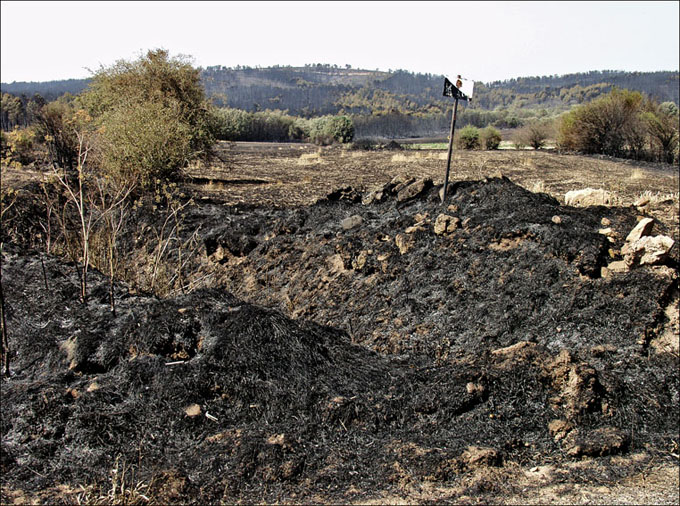 Foto de Alto Tajo (Guadalajara), España